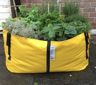 HERBS IN THE GREEN BAG