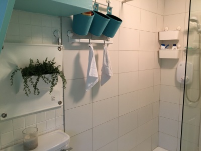 bathroom with the green pot